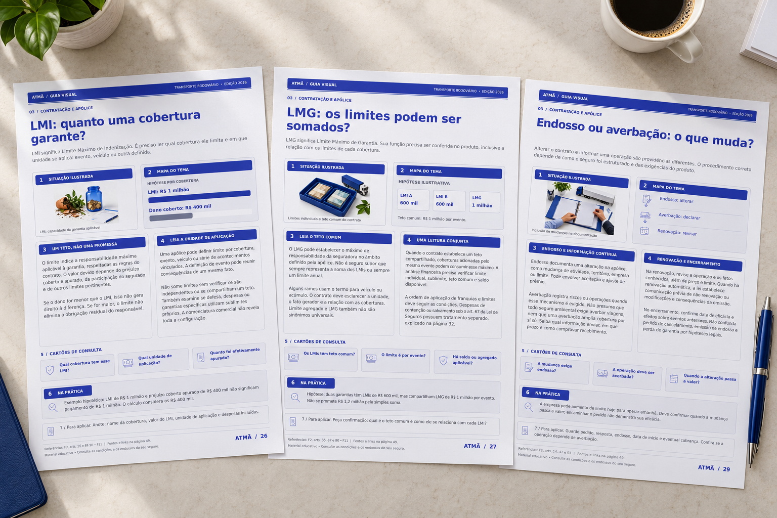 Amostras de páginas abertas do Guia Visual sobre LMI, LMG e Endosso